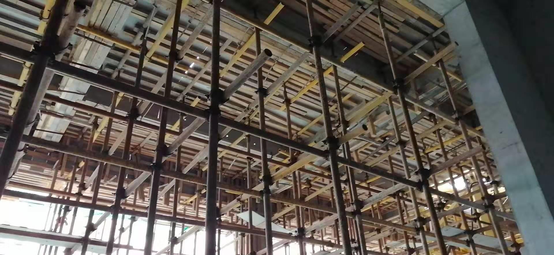 Plastic Hollow Shuttering Board